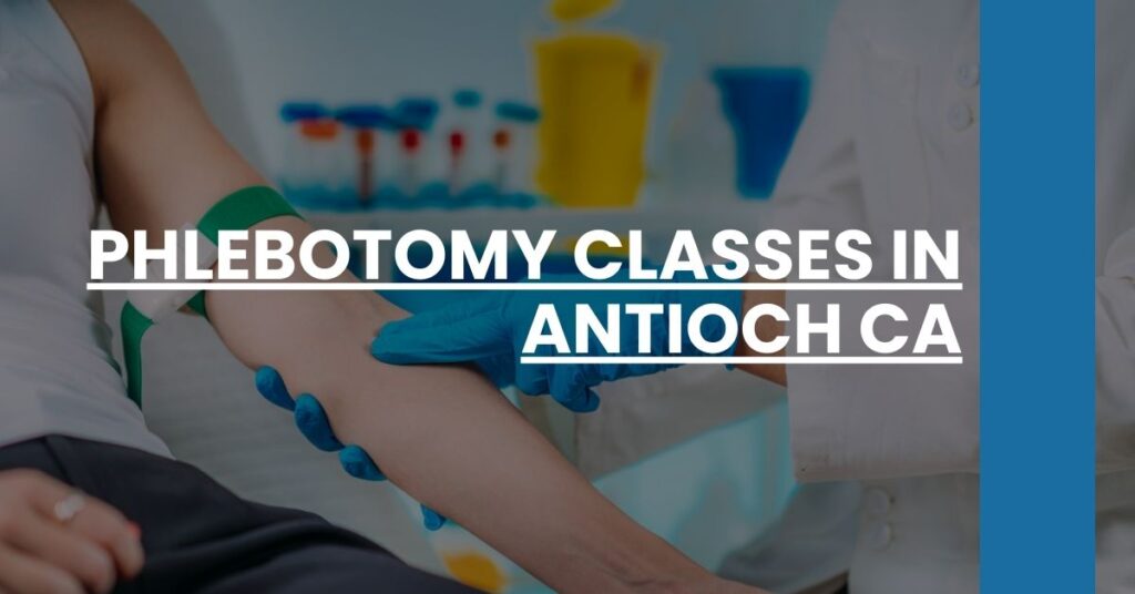 Phlebotomy Classes in Antioch CA Feature Image